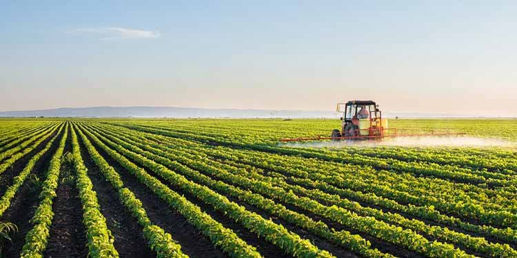 agriculture investment opportunities